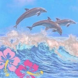 Meet your Posher, Thrift fairyy